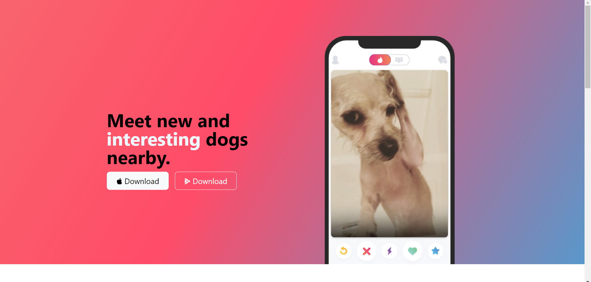 TinDog Website